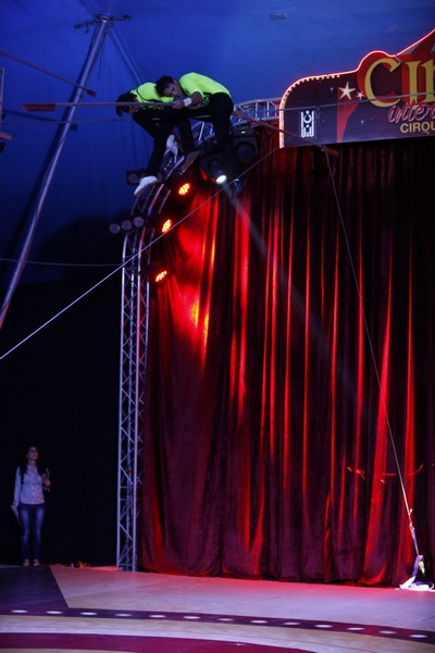 Circo International